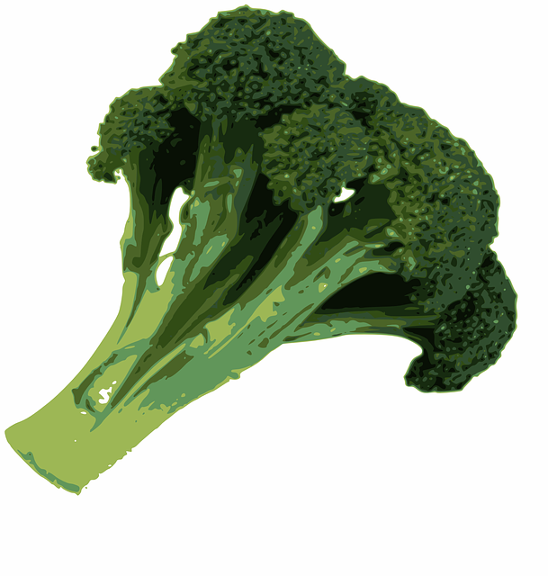 Hoe je broccoli succesvol kunt kweken en gebruiken